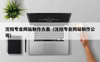 玉树沈阳专业网站制作方案（沈阳专业网站制作公司）